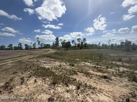 19 2 Ac Mcinnis Vernal Rd, Lucedale, MS 39452 photo 16