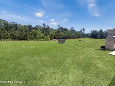Exterior - 110 Landry Dr, Brandon, MS 39047 photo 6 of 8