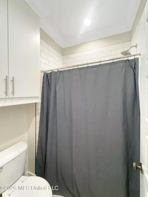Bath - 110 Landry Dr, Brandon, MS 39047 photo 6 of 6