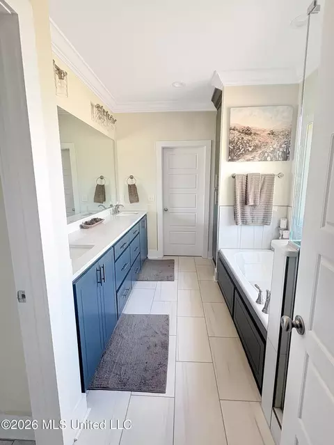 Bath - 110 Landry Dr, Brandon, MS 39047 photo 1 of 6