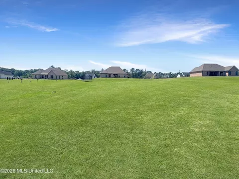 Exterior - 110 Landry Dr, Brandon, MS 39047 photo 7 of 8
