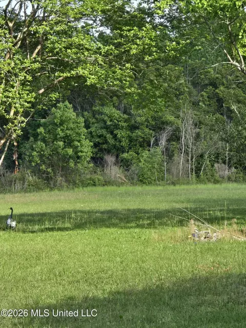 00 Werner Rd, Picayune, MS 39466 photo 10