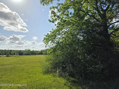 00 Werner Rd, Picayune, MS 39466 photo 30