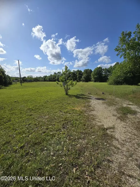 00 Werner Rd, Picayune, MS 39466 photo 24