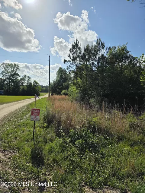 00 Werner Rd, Picayune, MS 39466 photo 31