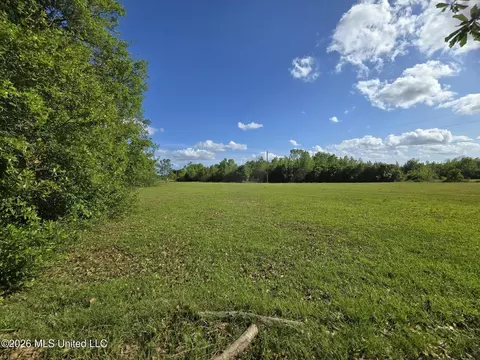 00 Werner Rd, Picayune, MS 39466 photo 15