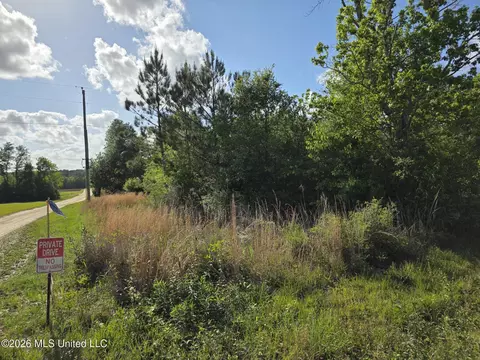 00 Werner Rd, Picayune, MS 39466 photo 32