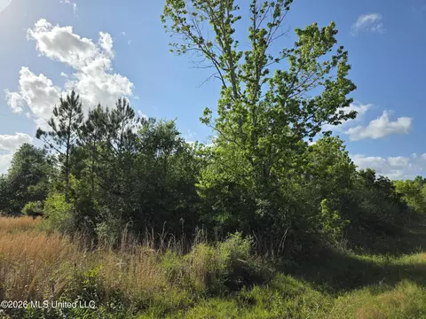 00 Werner Rd, Picayune, MS 39466 photo 33