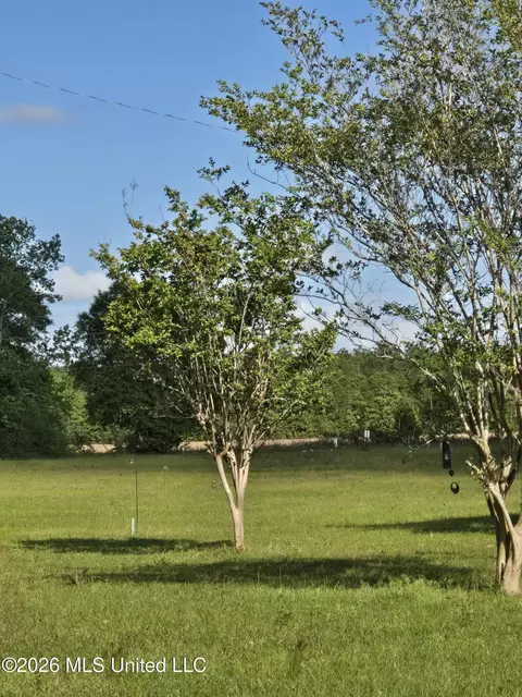 00 Werner Rd, Picayune, MS 39466 photo 9