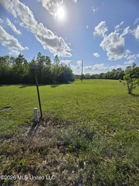 00 Werner Rd, Picayune, MS 39466 photo 23