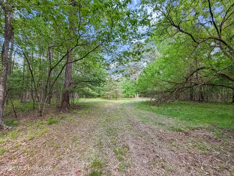 Lorman Lane, Madison, MS 39110 photo 15