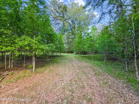 Lorman Lane, Madison, MS 39110 photo 5
