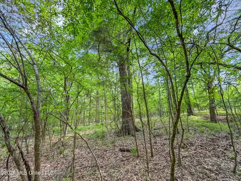 Lorman Lane, Madison, MS 39110 photo 23