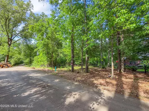 Lorman Lane, Madison, MS 39110 photo 20