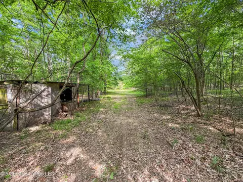 Lorman Lane, Madison, MS 39110 photo 22