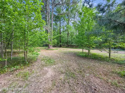 Lorman Lane, Madison, MS 39110 photo 2
