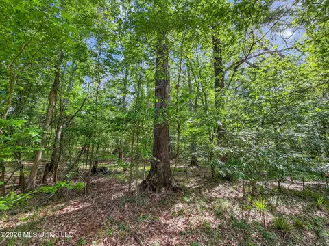 Lorman Lane, Madison, MS 39110 photo 7