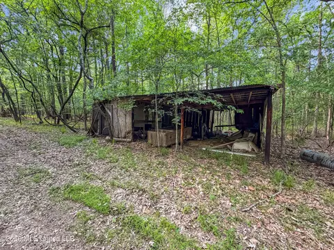 Lorman Lane, Madison, MS 39110 photo 16