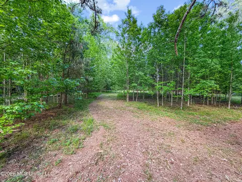 Lorman Lane, Madison, MS 39110 photo 4