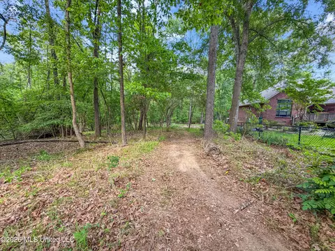 Lorman Lane, Madison, MS 39110 photo 21
