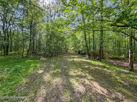 Lorman Lane, Madison, MS 39110 photo 12