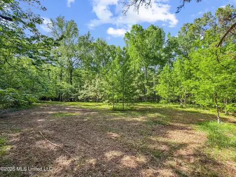 Lorman Lane, Madison, MS 39110 photo 8