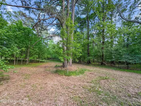 Lorman Lane, Madison, MS 39110 photo 3