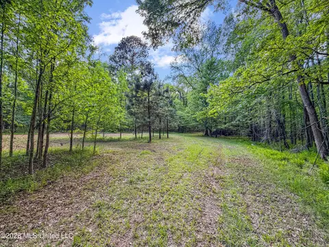 Lorman Lane, Madison, MS 39110 photo 25