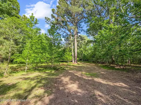 Lorman Lane, Madison, MS 39110 photo 10