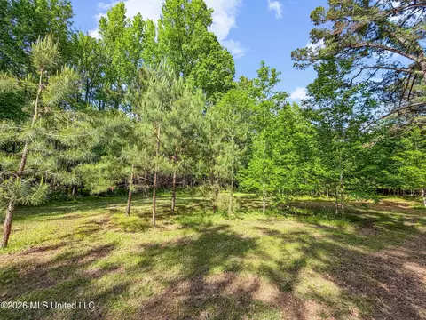 Lorman Lane, Madison, MS 39110 photo 11
