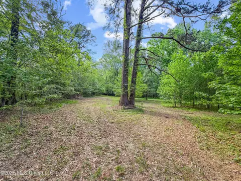 Lorman Lane, Madison, MS 39110 photo 6