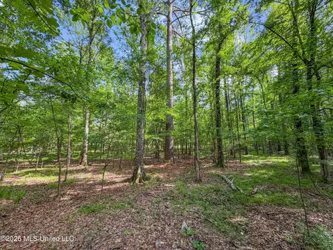 Lorman Lane, Madison, MS 39110 photo 26