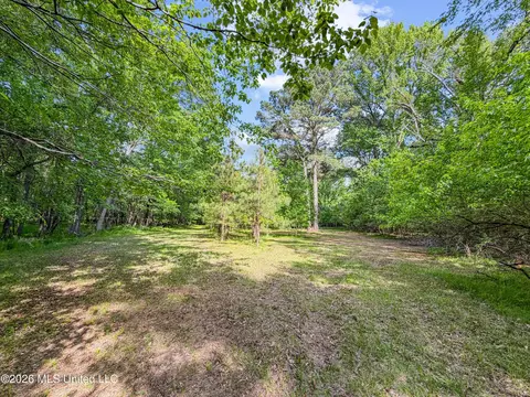Lorman Lane, Madison, MS 39110 photo 24