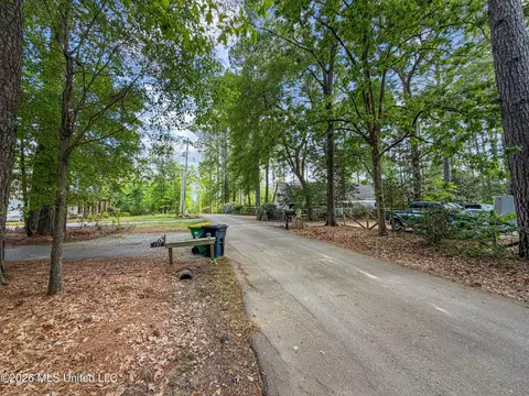 Lorman Lane, Madison, MS 39110 photo 19