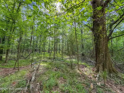 Lorman Lane, Madison, MS 39110 photo 27
