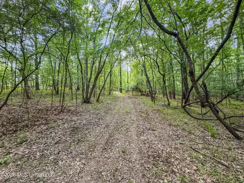 Lorman Lane, Madison, MS 39110 photo 17