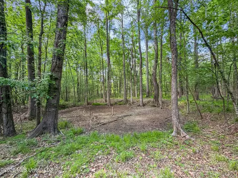 Lorman Lane, Madison, MS 39110 photo 13