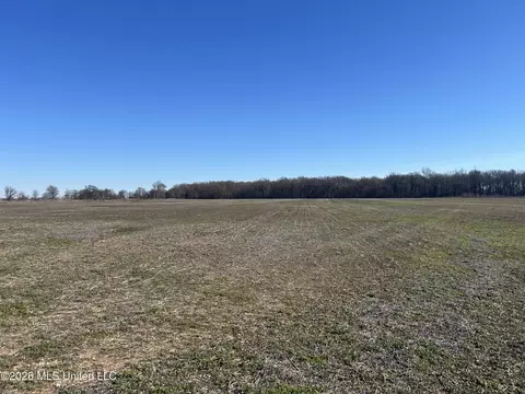 S Highway 61, Dundee, MS 38626 photo 15