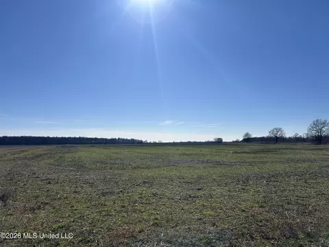 S Highway 61, Dundee, MS 38626 photo 5