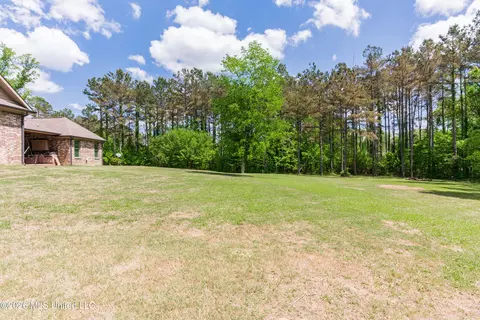 Exterior - 517 Viewpointe Way, Clinton, MS 39056 photo 21 of 23