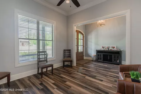 Entry Way - 517 Viewpointe Way, Clinton, MS 39056 photo 5 of 7