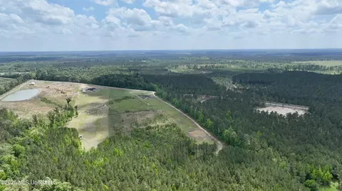 0010 Coal Bluff Rd, Lena, MS 39094 photo 14