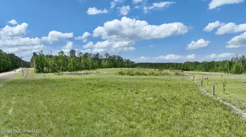 0010 Coal Bluff Rd, Lena, MS 39094 photo 5