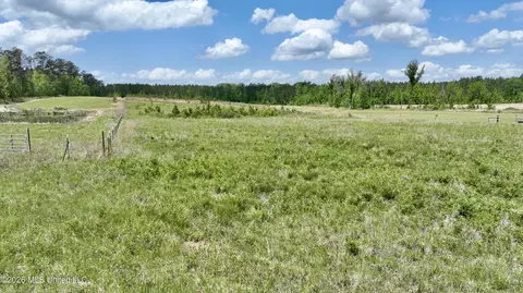 0010 Coal Bluff Rd, Lena, MS 39094 photo 13