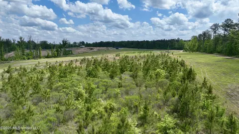 0010 Coal Bluff Rd, Lena, MS 39094 photo 15