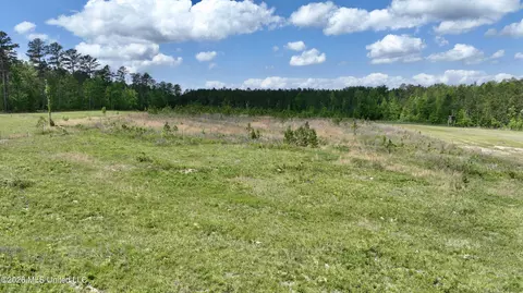 0010 Coal Bluff Rd, Lena, MS 39094 photo 4