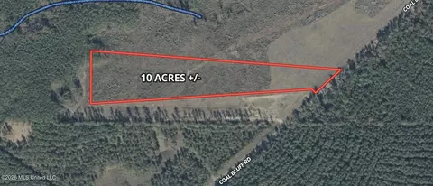 0010 Coal Bluff Rd, Lena, MS 39094 photo 25