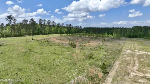 0010 Coal Bluff Rd, Lena, MS 39094 photo 8