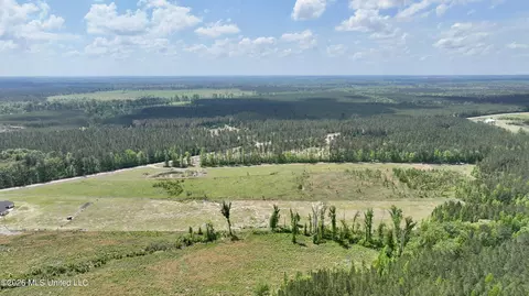 0010 Coal Bluff Rd, Lena, MS 39094 photo 10