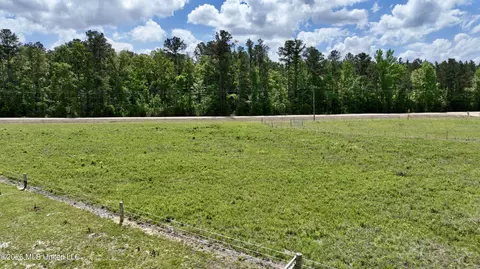 0010 Coal Bluff Rd, Lena, MS 39094 photo 9